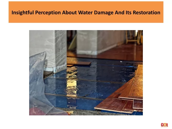 insightful perception about water damage and its restoration