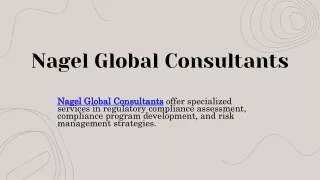 Nagel Global Consultants