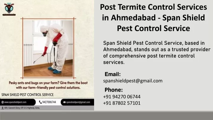 post termite control services in ahmedabad span