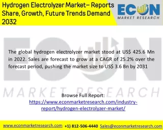 Hydrogen Electrolyzer Market