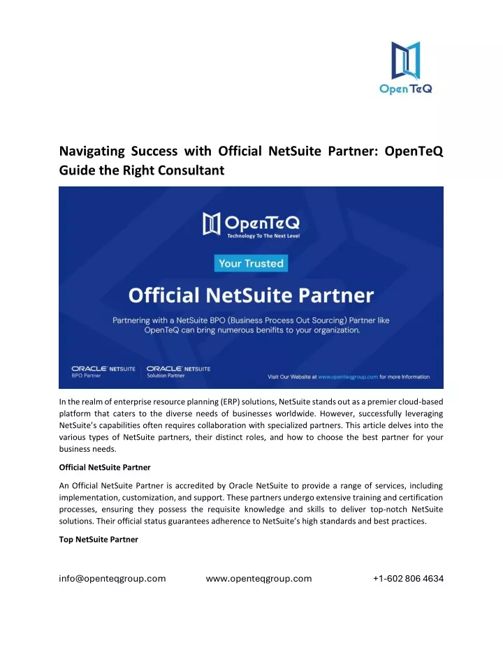 navigating success with official netsuite partner