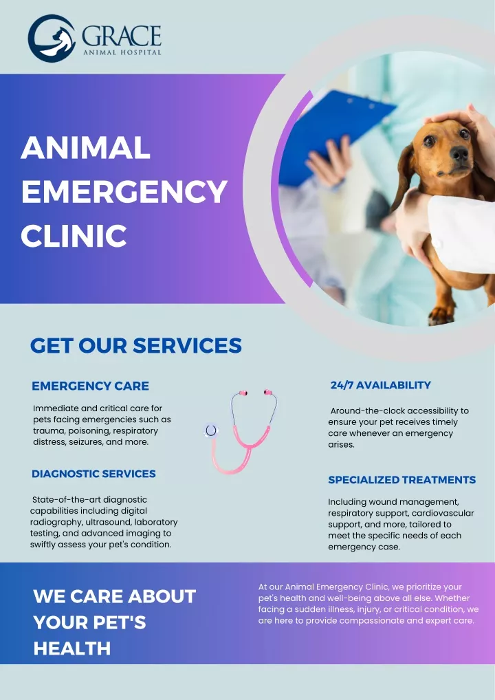 PPT - animal emergency clinic PowerPoint Presentation, free download ...