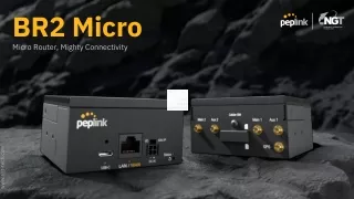Peplink BR2 Micro -Peplink partner & distributor (1)