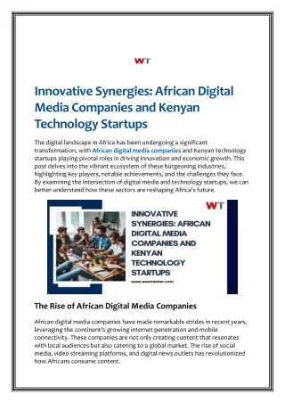 Innovative Synergies: A Guide on African Digital Media Companies