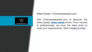 weed seeds onlineweedseeds com visit