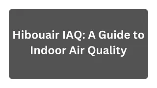 HibouAir IAQ: A Guide to Indoor Air Quality