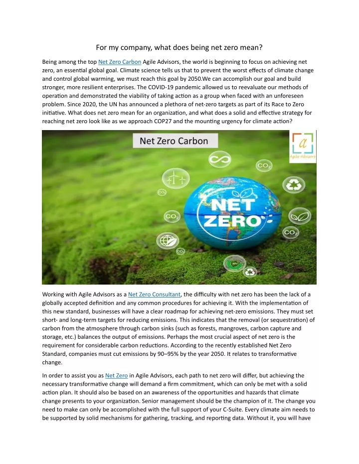 for my company what does being net zero mean