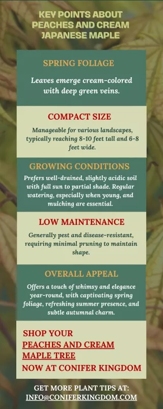 key points about key points about peaches