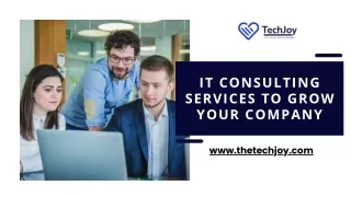 IT Consulting Services to Grow Your Company - Tech Joy