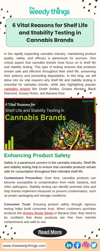 6 Vital Reasons for Shelf Life and Stability Testing in Cannabis Brands