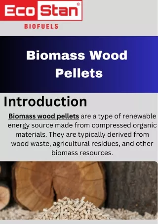 Biomass Wood Pellets: Sustainable Energy for a Greener Future