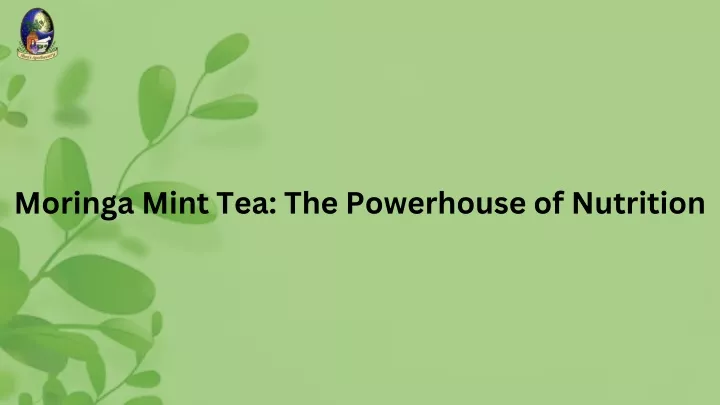 moringa mint tea the powerhouse of nutrition