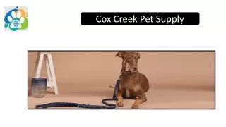 Cox Creek Pet Supply: Premium Rechargeable Dog Collars