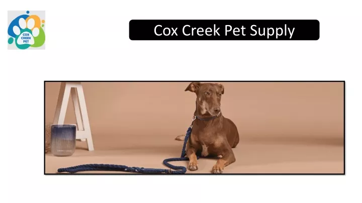 cox creek pet supply