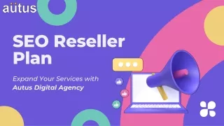 Boost Your Business Revenue with a Comprehensive SEO Reseller Plan