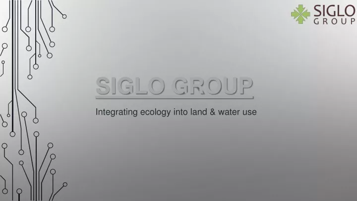 siglo group