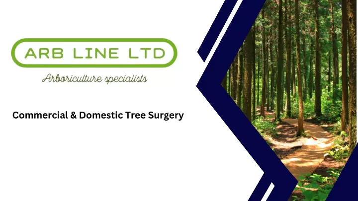 commercial domestic tree surgery