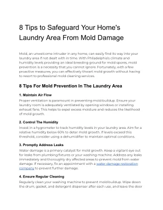 8 Tips to Safeguard Your Home's Laundry Area From Mold Damage