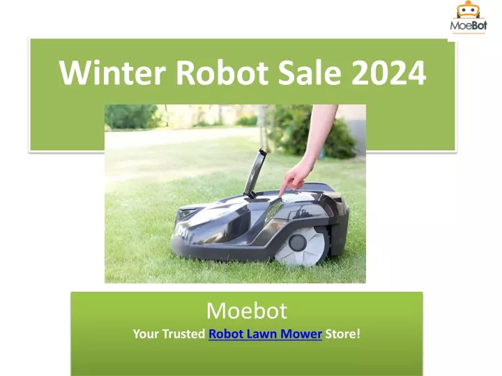 winter robot sale 2024