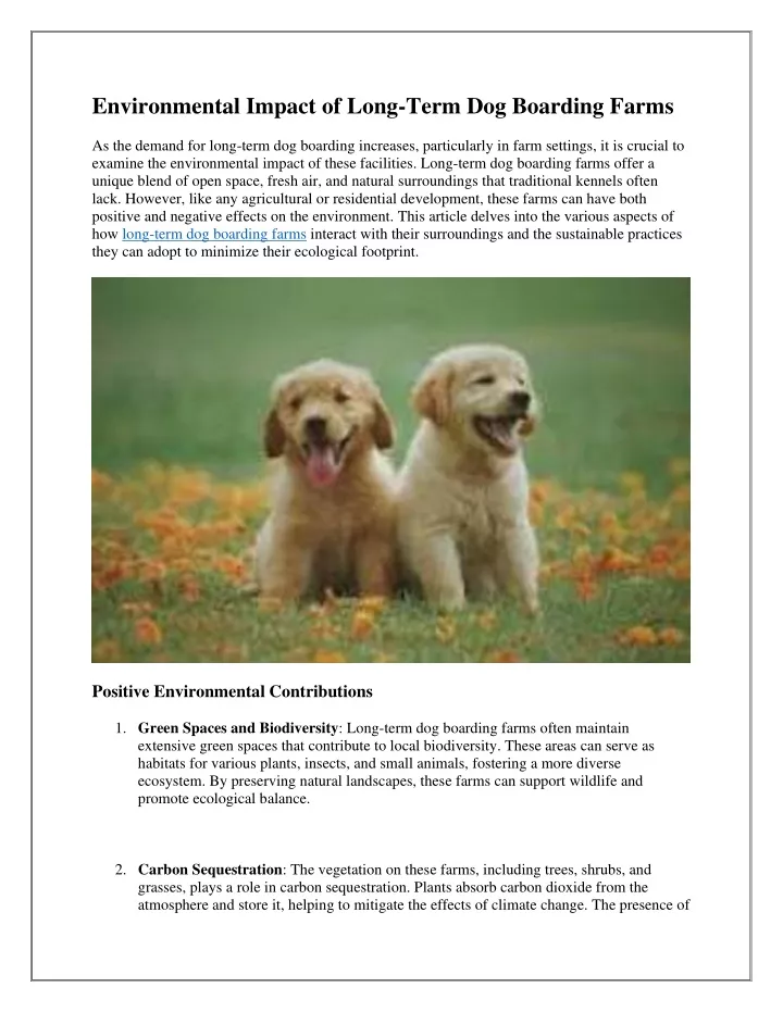 environmental impact of long term dog boarding