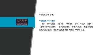 tamirlevy com