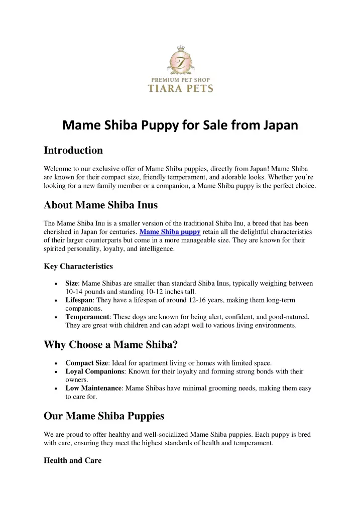 mame shiba puppy for sale from japan