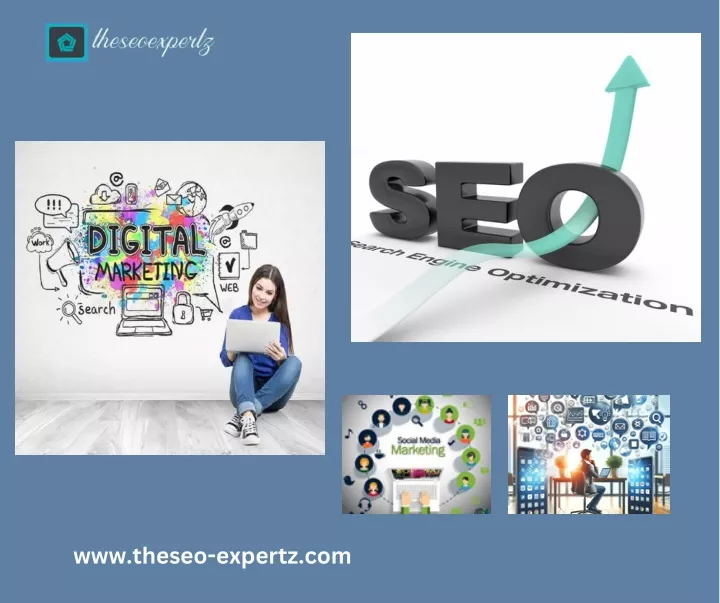 www theseo expertz com