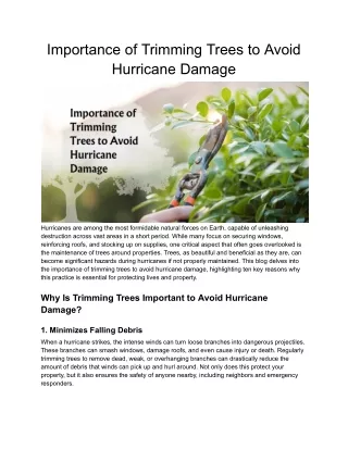 Importance of Trimming Trees to Avoid Hurricane Damage