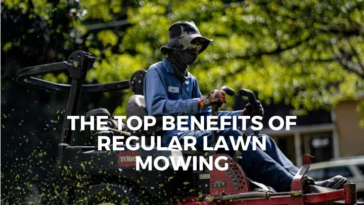 the top benefits of regular lawn mowing