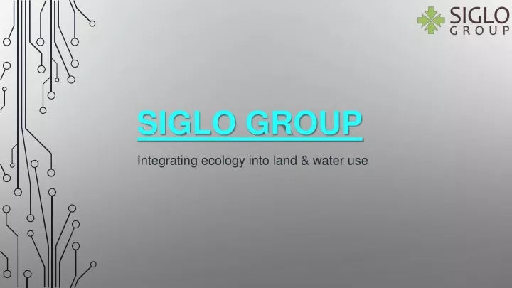 siglo group