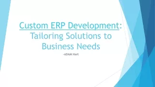 Custom ERP Development