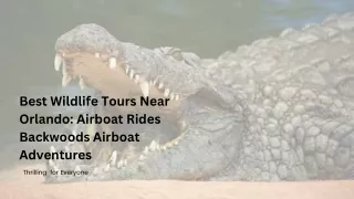 Best Wildlife Tours Near Orlando Airboat Rides Backwoods Airboat Adventures