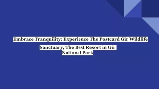 Embrace Tranquility_ Experience The Postcard Gir Wildlife Sanctuary, The Best Resort in Gir National Park