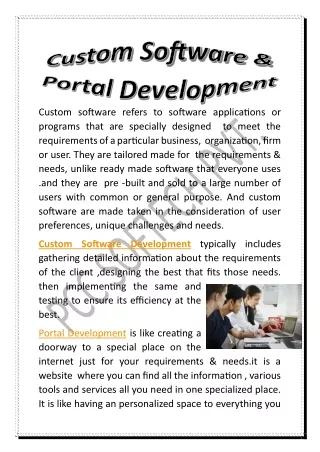 custom software and portal development