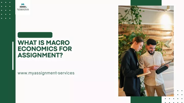 what is macro economics for assignment