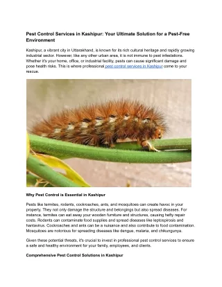 Pest Control Services in Kashipur (1)