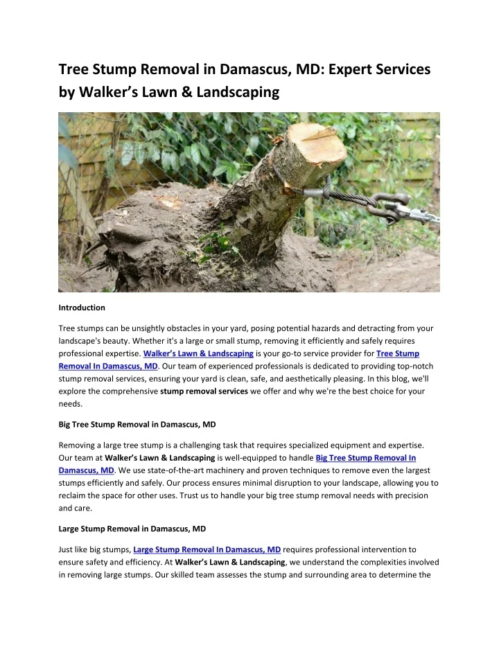 PPT - Tree Stump Removal in Damascus, MD Expert Services by Walker’s ...