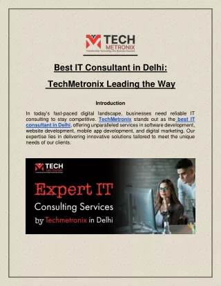 best it consultant in delhi
