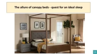 the allure of canopy beds quest for an ideal sleep