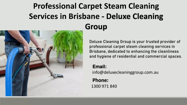 professional carpet steam cleaning services