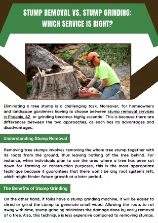 Expert Tree Stump Removal Services