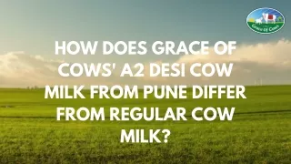 How Does Grace of Cows' A2 Desi Cow Milk from Pune Differ from Regular Cow Milk