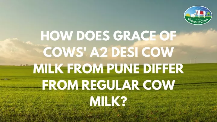 PPT - How Does Grace of Cows' A2 Desi Cow Milk from Pune Differ from ...