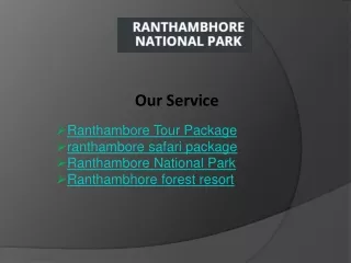 Ranthambore Tour Package