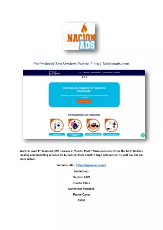 Professional Seo Services Puerto Plata | Nacionads.com
