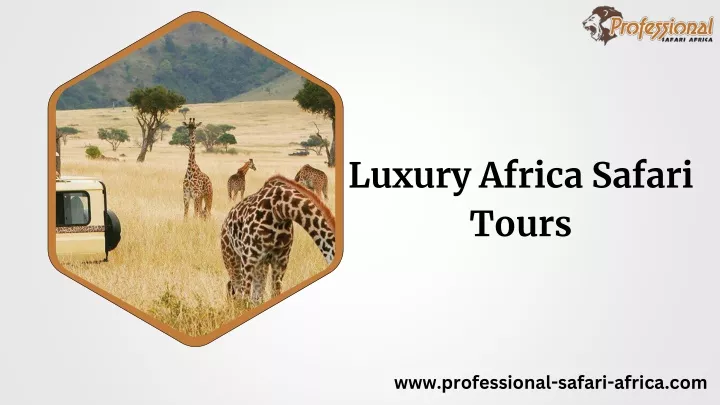 luxury africa safari tours