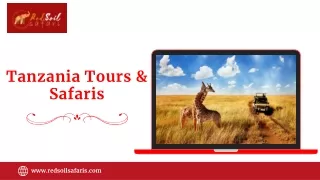 Tanzania Tours & Safaris