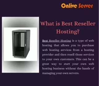 Premier Reseller Hosting: High-Performance, Reliable, and Affordable Plans