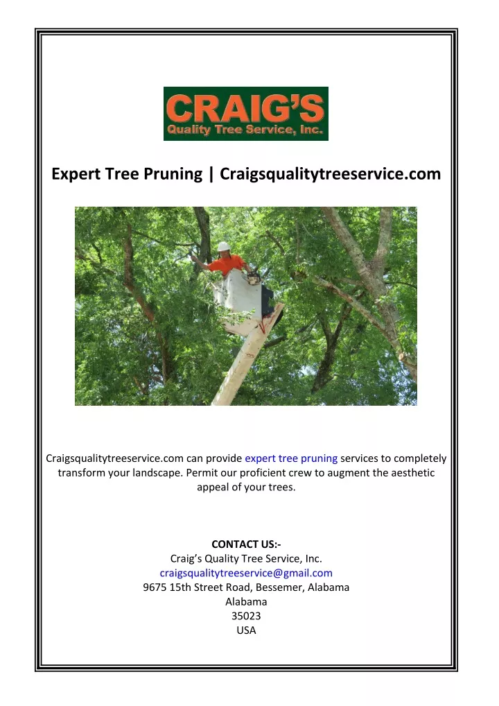 expert tree pruning craigsqualitytreeservice com