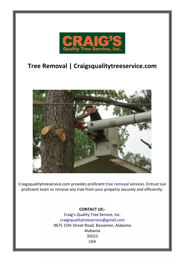 tree removal craigsqualitytreeservice com